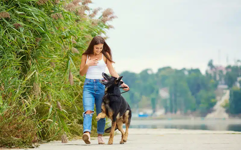 Healthy Tails, Happy Hearts: Pet Health Goals for the New Year