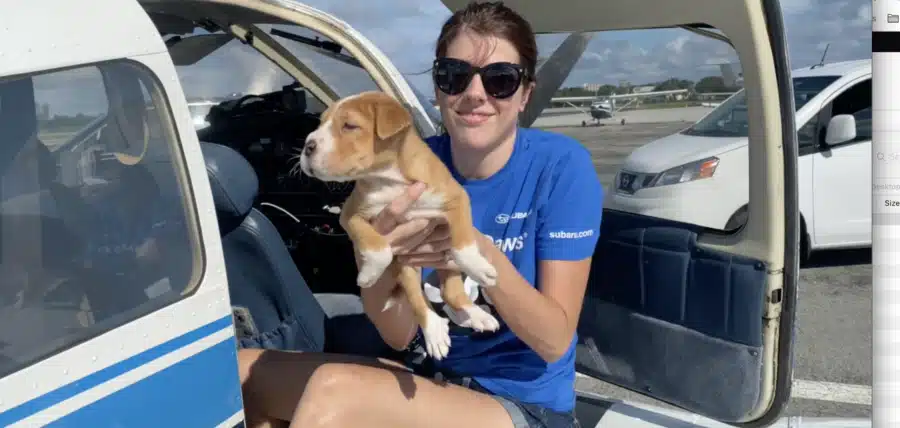 AEHV Sponsors Mission To Rescue 13 Puppies From Alabama High-Kill Shelter
