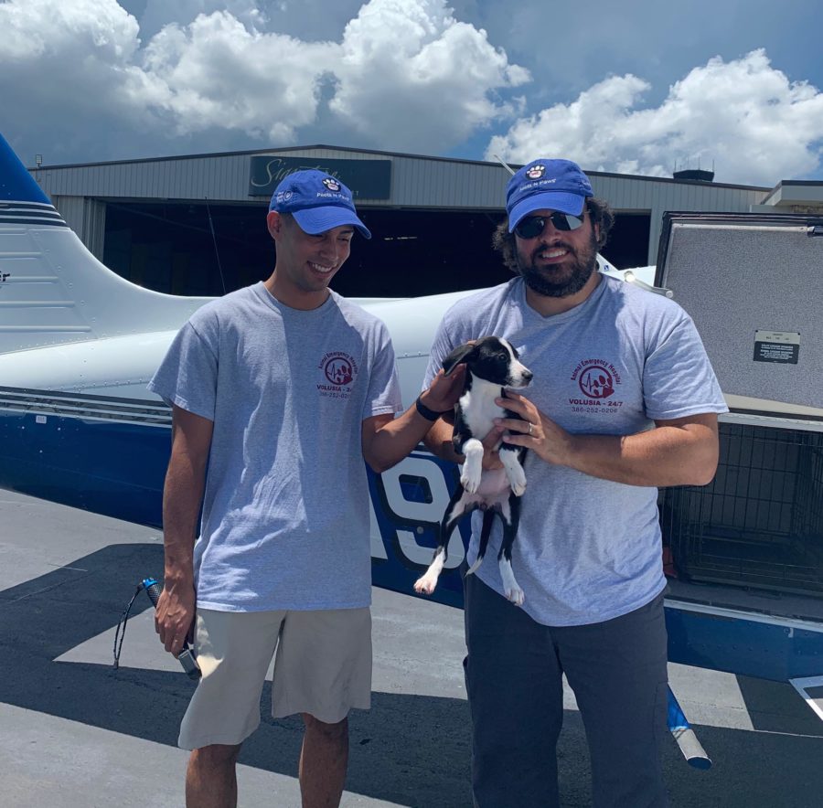 AEHV Sponsors Mission To Rescue Puppies From A High-Kill Shelter