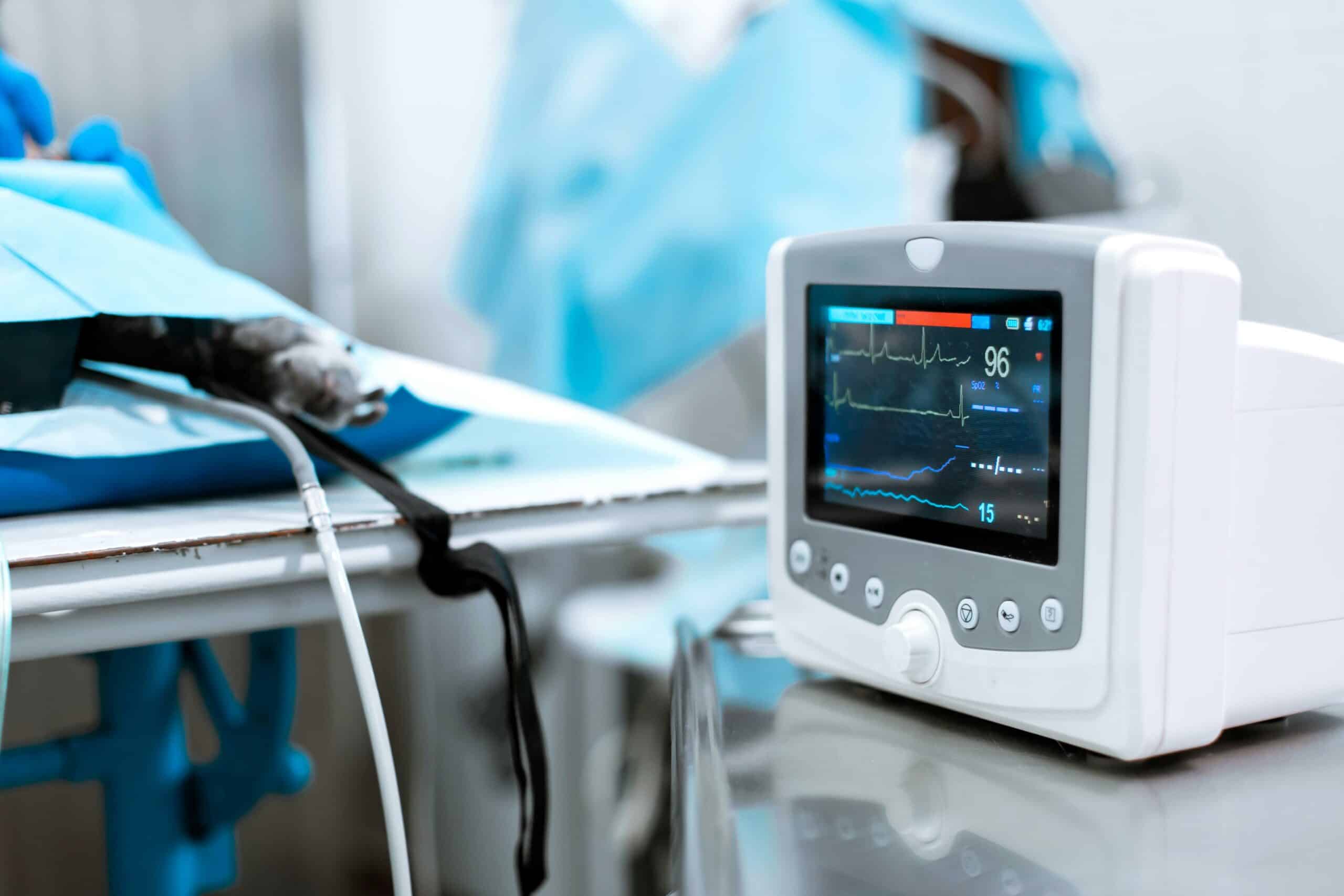 Advanced Imaging for Pets