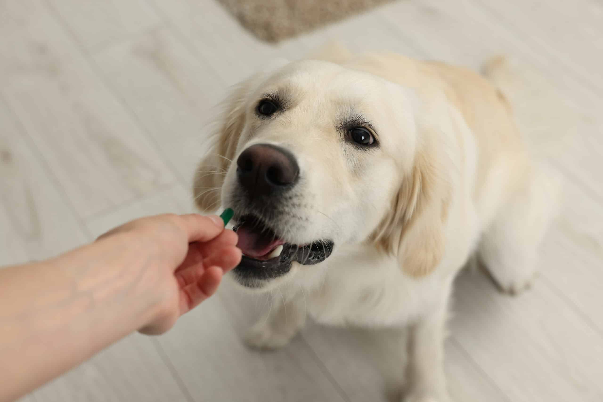 At-Home Recovery Tips